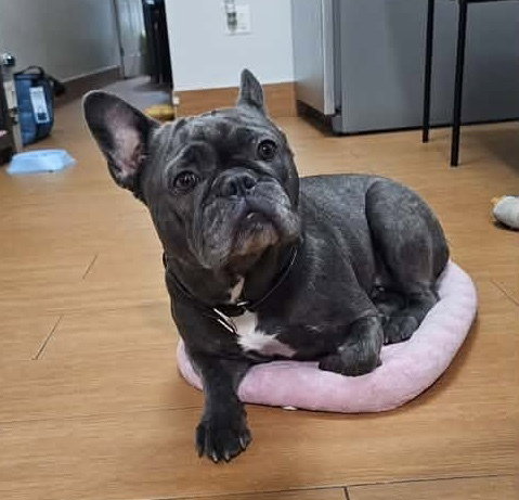 Tara