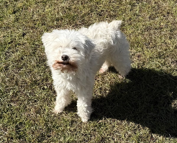 TUCKER (SRC#3601) in  SOUTH CAROLINA