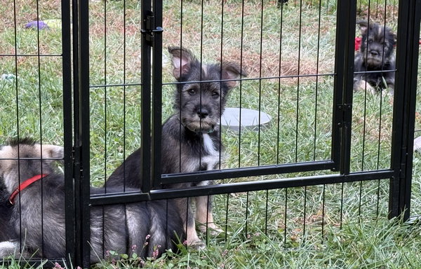 RHETT (OPSRC3613) in NORTH CAROLINA