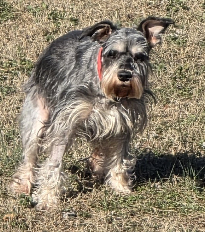 LUCY (SRC#3610)  IN NORTH CAROLINA