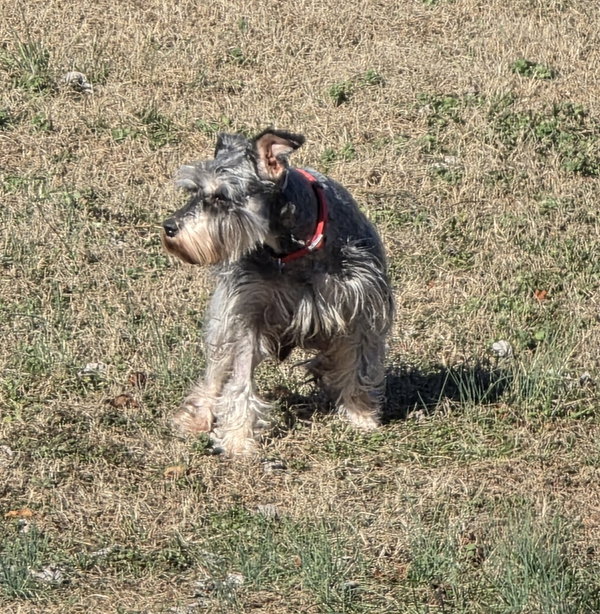 LUCY (SRC#3610)  IN NORTH CAROLINA