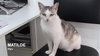 Matilde - Photo 1