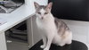 Matilde - Photo 3