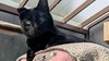 Clyde - Photo 2