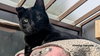 Clyde - Photo 3