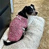 adoptable Dog in hilton head island, SC named Hershey