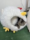adoptable Cat in Hilton Head Island, SC named Minou