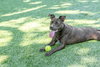 Reina - Photo 1