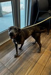 Douglas - Photo 2