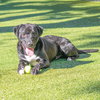 Tuxx - Photo 2