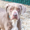 Hazel - Photo 1