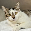 Henrietta - Photo 1
