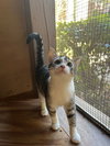 \Fanta - Photo 1