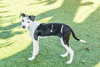 Elouise - Photo 2