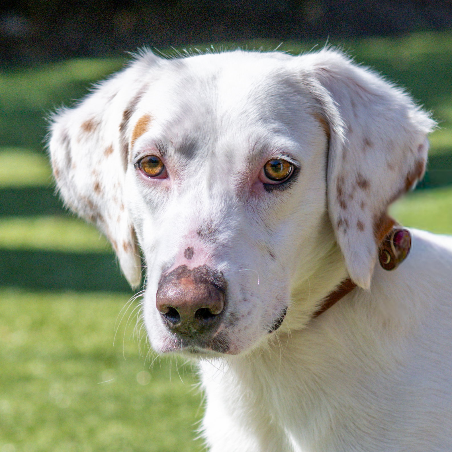 Wilma Image
