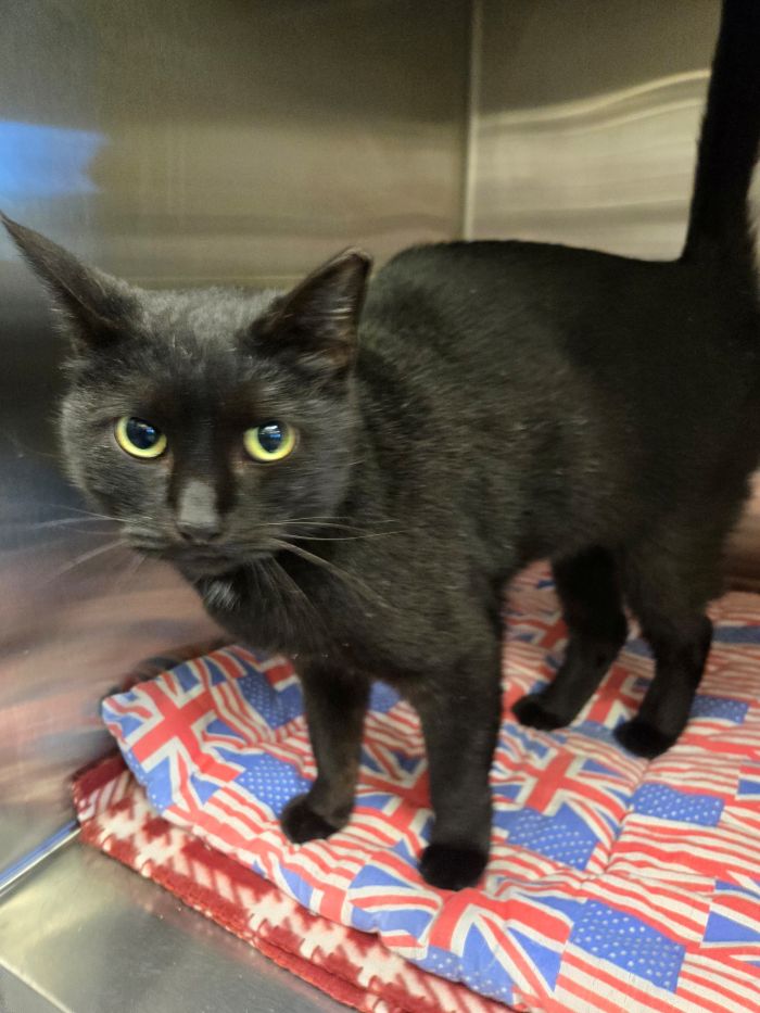 Matilda
