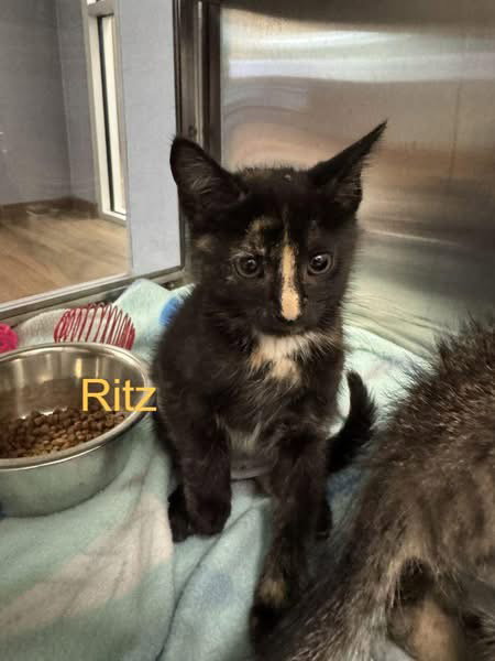 Ritz
