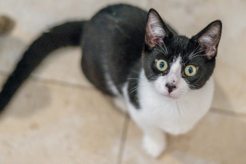 Photo 2 of Pip