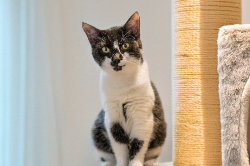 Photo 2 of Alice
