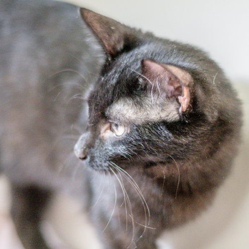 Photo 3 of Twix