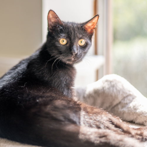 Photo 4 of Jiji