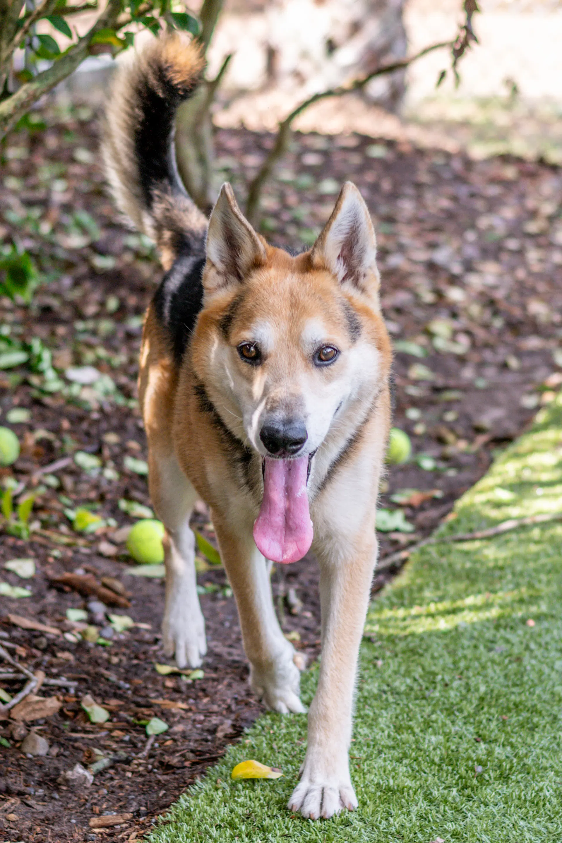Max image 3