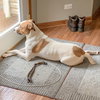 Ollie - Photo 8