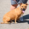 Zoey - Photo 3