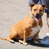 Zoey - Photo 4