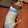 Zoey - Photo 5