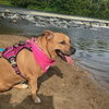 Zoey - Photo 6