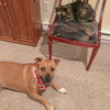 Zoey - Photo 7