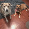 Zoey - Photo 8