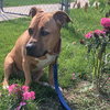 Zoey - Photo 9