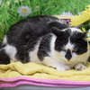 Wally - Photo 2