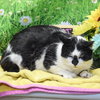 Wally - Photo 3