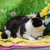 Wally - Photo 4