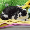 Wally - Photo 5
