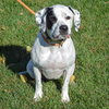 Mia - Photo 5