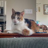 Cicero - Photo 6