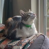 Cicero - Photo 7