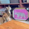 Cicero - Photo 9
