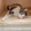 Cicero - Photo 4