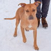 Marco - Photo 3