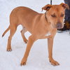 Marco - Photo 4