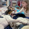 Jerry - Photo 15
