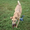 Bambi - Photo 5