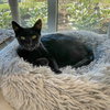 January - Photo 5