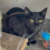 January - Photo 6