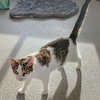 Monday - Photo 4
